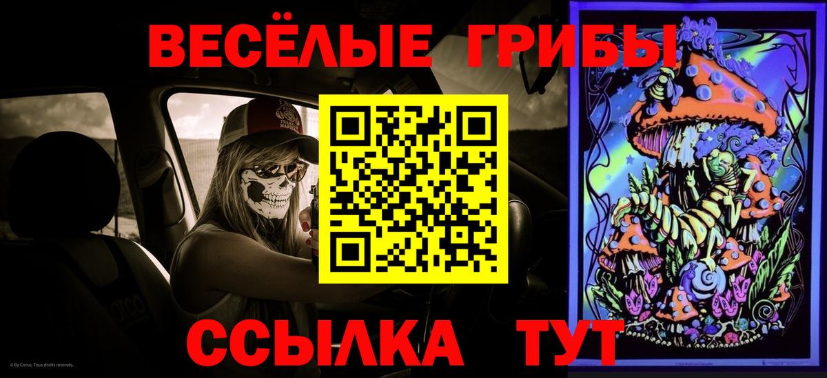 Галлюциногенные грибы Psilocybe Москва